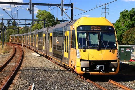 Sydney Trains Waratah A Set photos - RailGallery Stock Library