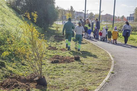 Galeria Dia Da Floresta Aut Ctone Junta De Freguesia De Pinhal Novo