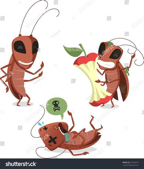 2,622 Cockroaches Eat Food Images, Stock Photos & Vectors | Shutterstock