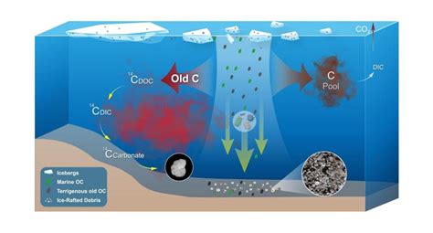 Nature Communications报道重点实验室海洋碳 14有机地球化学研究成果