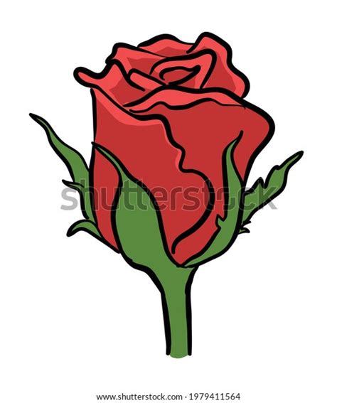 Red Rose Flower Vector Illustration Isolated Stock Vector Royalty Free