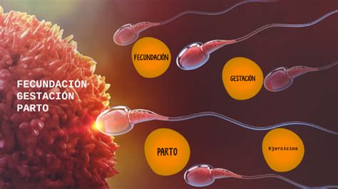 LA FECUNDACIÓN LA GESTACIÓN Y EL PARTO by Verónica Maribel Rojas