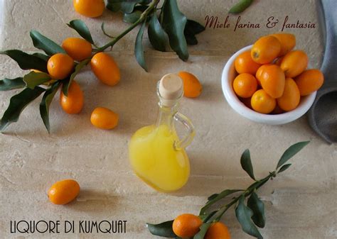 Liquore Ai Frutti Di Kumquat Miele Farina Fantasia