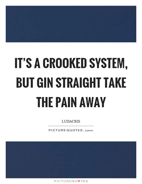 It S A Crooked System But Gin Straight Take The Pain Away Picture Quotes