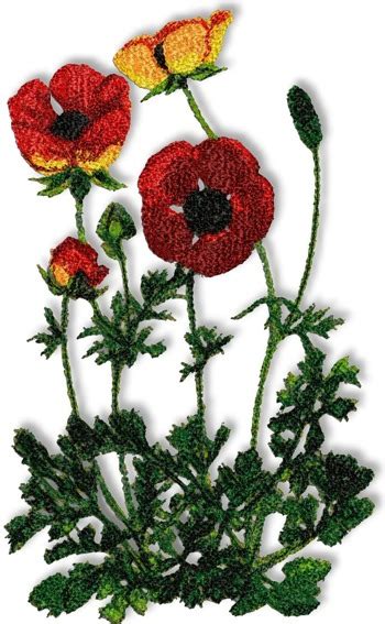 Advanced Embroidery Designs Poppies