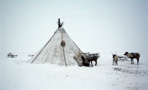 New Year's with the Nenets of the Russian Arctic