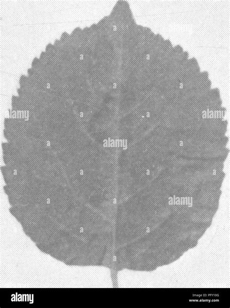 L encyclopédie de l horticulture pratique un système de référence