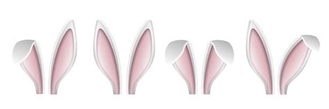 Premium Vector Rabbit Ears Voluminous White Ears Of The Easter Bunny