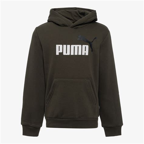 Puma Essentials Big Logo Kinder Hoodie Groen Online Bestellen Scapino