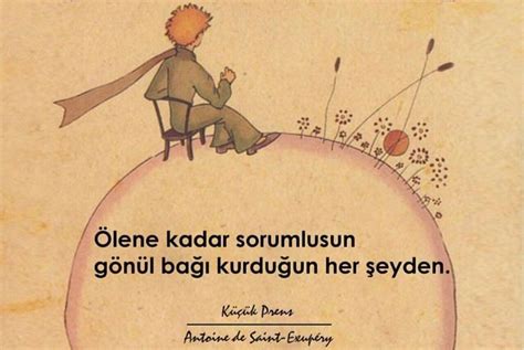 Küçük Prens Little Prince Antoine de Saint Exupéry Ölene kadar