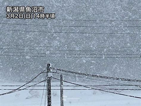 明日は日本海から低気圧が接近 東北や北陸で荒天のおそれ ウェザーニュース