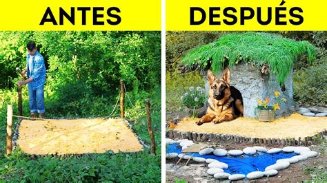 Cómo construir una casa para perros a partir de arcilla YouTube