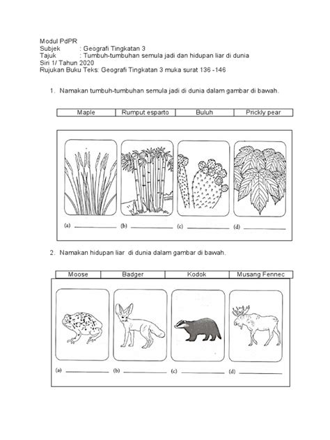 Modul Pdpr Geo Ting 3 Siri 1 Pdf