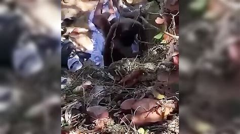 Horny Couple Caught Having Sex Beside A River Vids