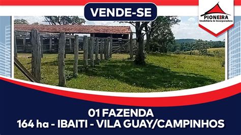 Fazenda Para Venda C Digo V Ibaiti Vila Guay Campinhos