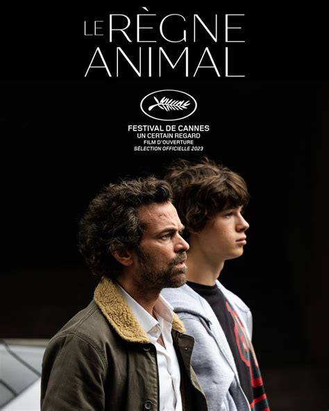 Image Gallery For The Animal Kingdom Filmaffinity