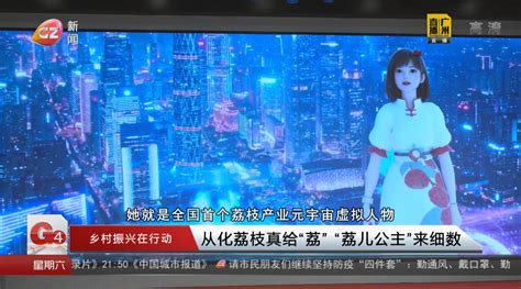 从化荔枝真给“荔” “荔儿公主”来细数荔枝新浪新闻