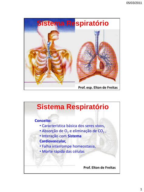 Pdf Sistema Respiratorio Dokumen Tips