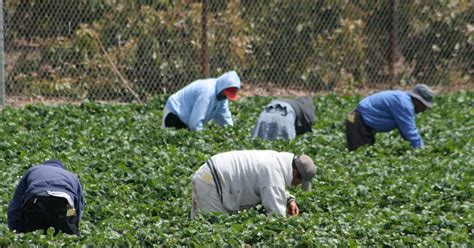 Travailleuses Et Travailleurs Trangers Temporaires Le Scfp Qu Bec S