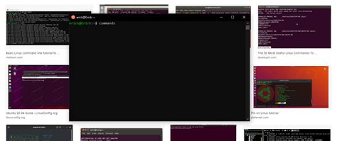 Basics of Linux Terminal Commands