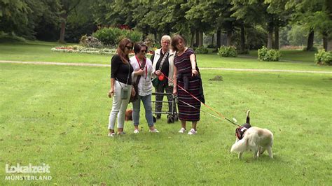 Wo ist Platz für freilaufende Hunde Mediathek WDR