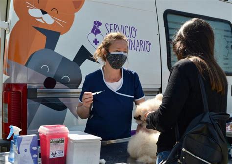 Continúa la Campaña de Vacunación Antirrábica 2022 Municipalidad del