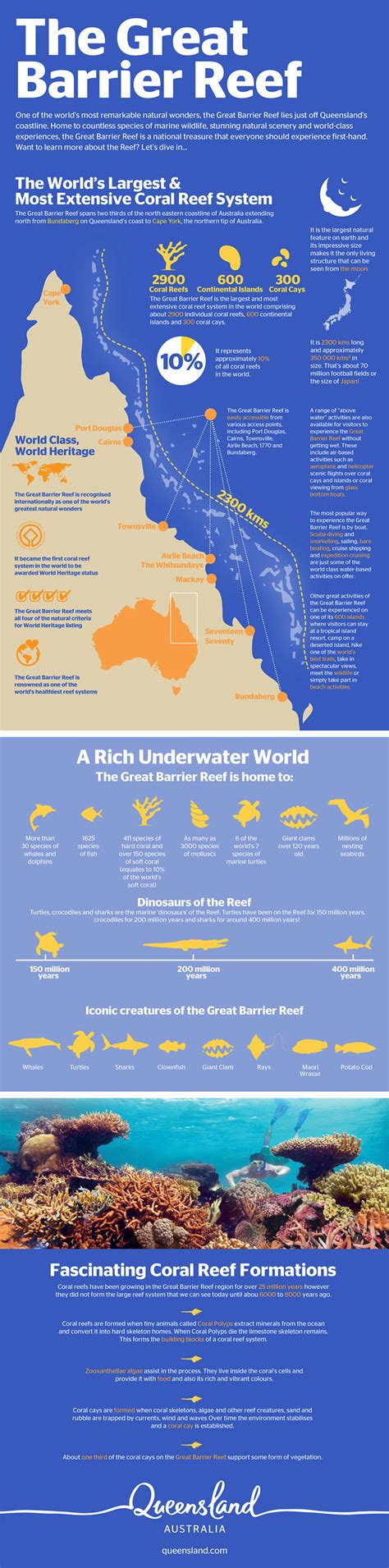 Great Barrier Reef Facts Infographic Queensland Australia