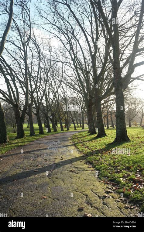 Gladstone Park North London Hi Res Stock Photography And Images Alamy