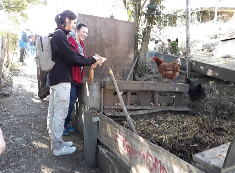 Bras De Fer Autour Du Jardin Du Coto