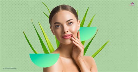 How To Use Aloe Vera Gel On The Face At Night For Glowing Skin