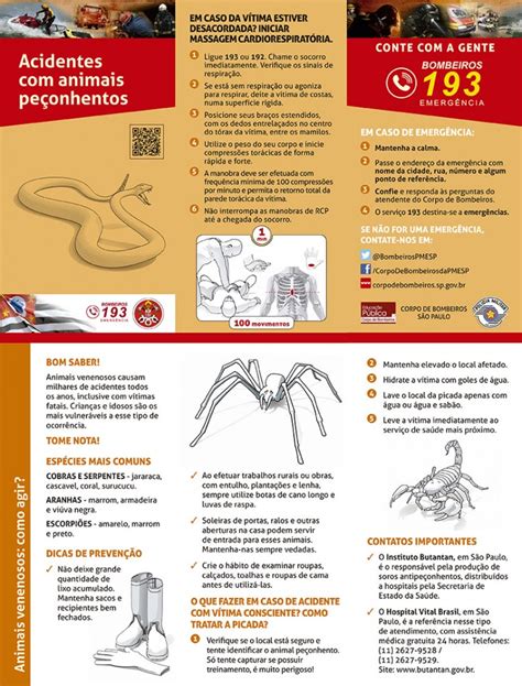 Canil do CCZ de Embu das Artes Evite acidentes animais peçonhentos