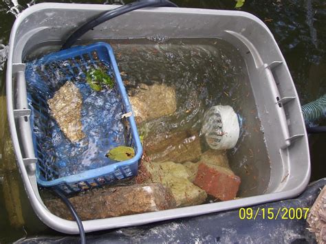 Diy Skimmer