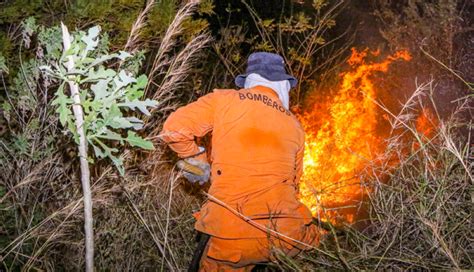 Logran Controlar Incendio Forestal En Volcán De San Salvador Diario