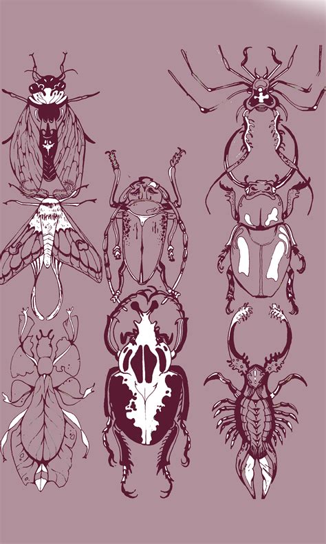 Artstation Insects Study