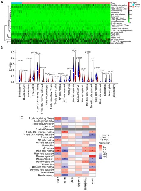 Construction Of An Immune Related Gene Prognostic Model With