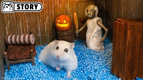 Homura Ham S Hamsters Vs Granny In The Haunted House For Halloween