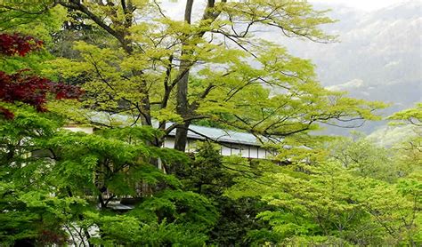 Gora Kadan Gora Kadan Ryokan En Hakone Japón