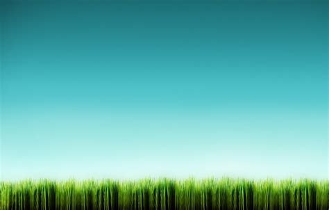 🔥 [40 ] Minimalist Grass Wallpapers Wallpapersafari