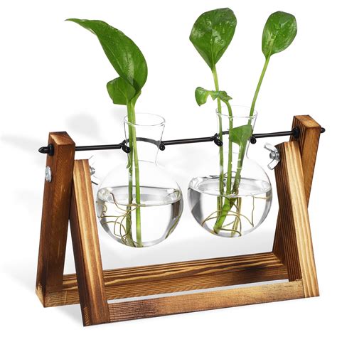 Bestonzon Plant Terrariums With Wooden Stand Bulb Glass Vases Tabletop