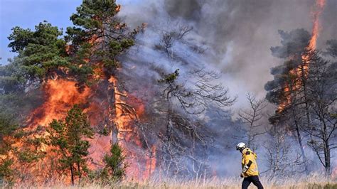 Environnement Comment protéger nos forêts des incendies