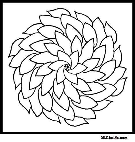 Flower Vase Coloring Pages At Getcolorings Free Printable