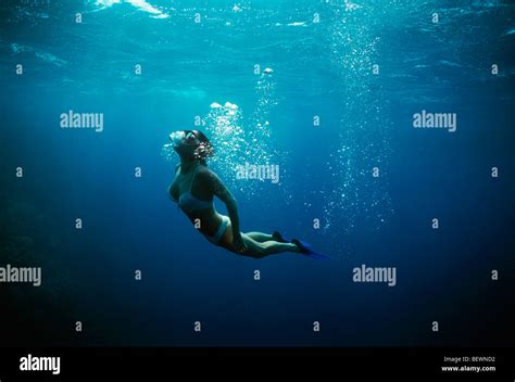 Free Diver Explores Blue Water Beside Coral Reef Sinai Egypt Red