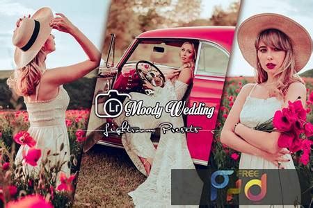 Moody Wedding Lightroom Presets Tzf Xwg Freepsdvn