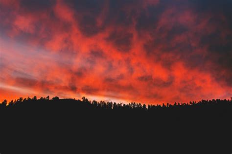 Papel De Parede Natureza Norte Nuvens Céu Árvores Pôr Do Sol