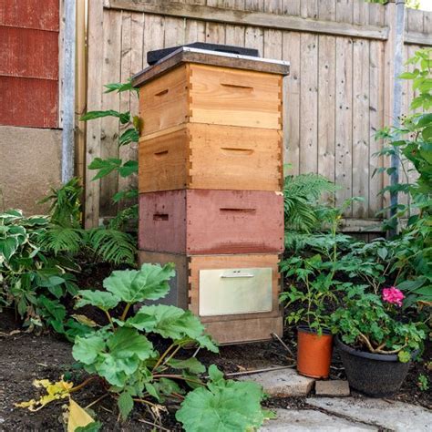 Une Ruche La Maison Je Jardine