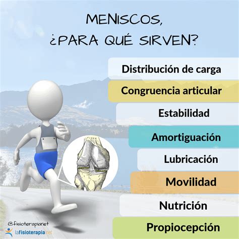 Meniscos ¿para Qué Sirven Fisioterapia Para Fisioterapeutas Y