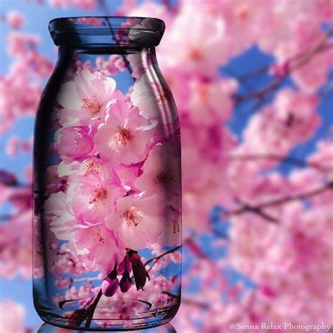 A Glass Vase Filled With Pink Flowers On Top Of A Wooden Table Next To