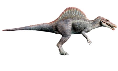 Spinosaurus Jp3 Png By Jakeysamra On Deviantart