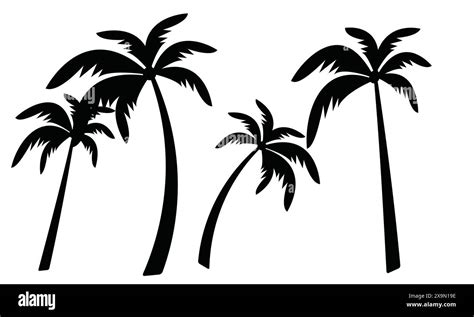 Palm Tree Vector And Silhouette Collection Stock Vector Image And Art Alamy