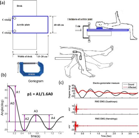 A Experimental Setup Of Electro Goniometer B The Definition Of The